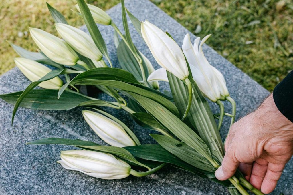 A hand laying unopened white lilies on a grave.